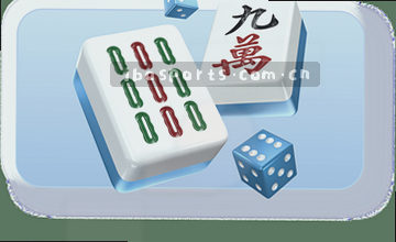 栏目数据概览